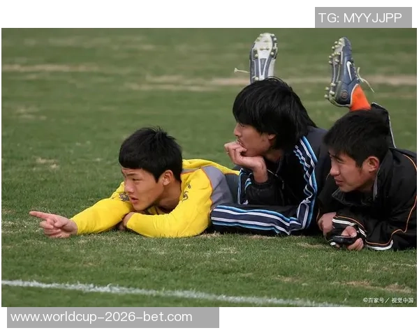 足球比赛现场发生爆炸事件伤亡人数引发社会广泛关注与讨论